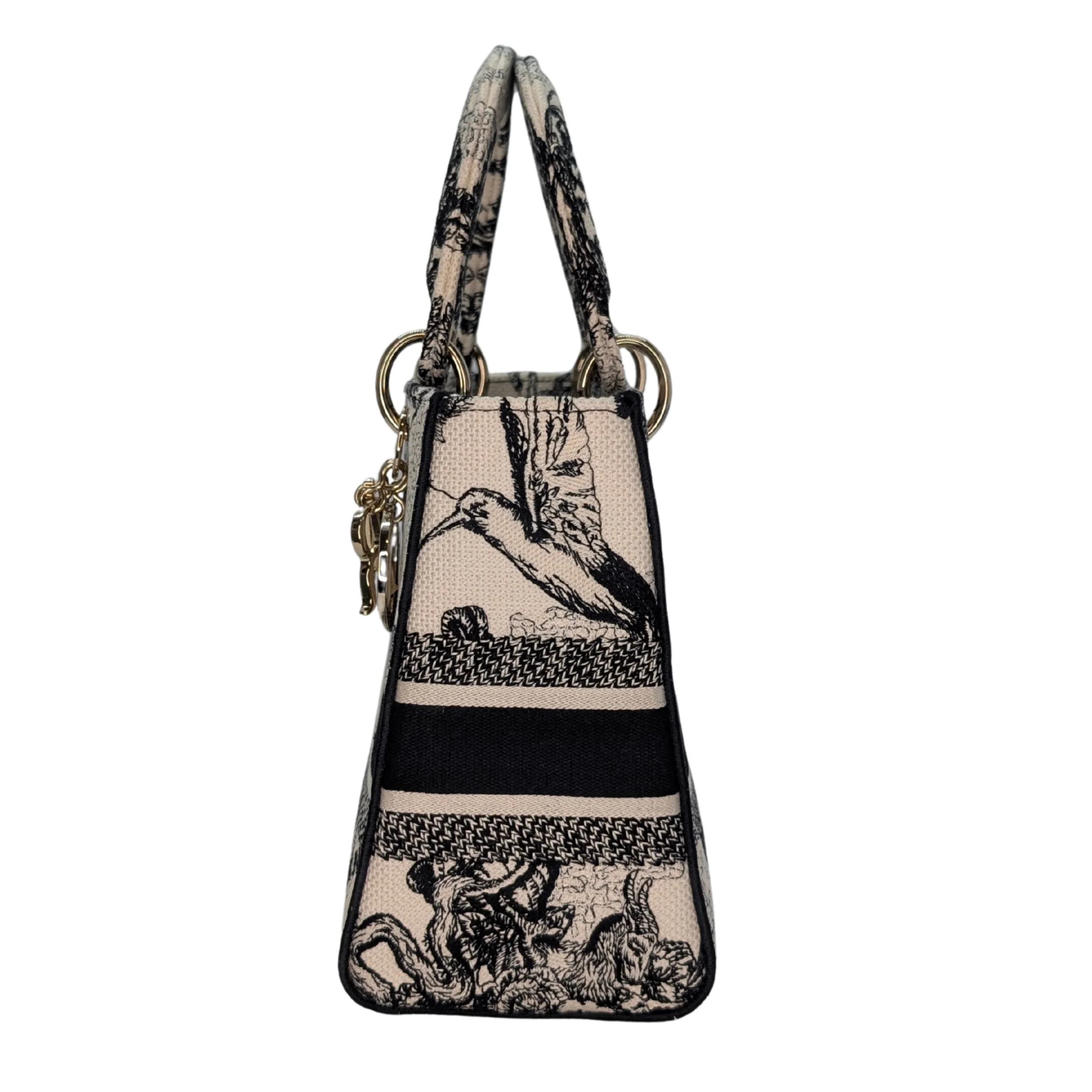 Dior Lady D-Lite Medium Toile de Jouy Zodiac Bag - Image 4