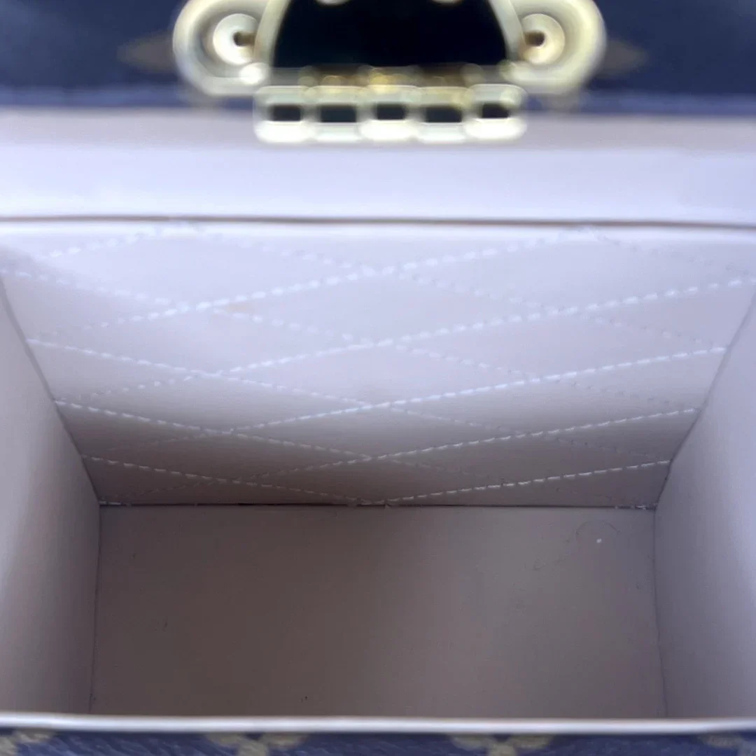 Louis Vuitton Monogram Camera Box Bag Crossbody - Image 15